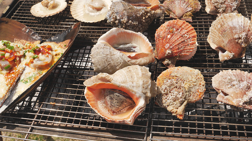 안면도 자연산 참소라 1kg