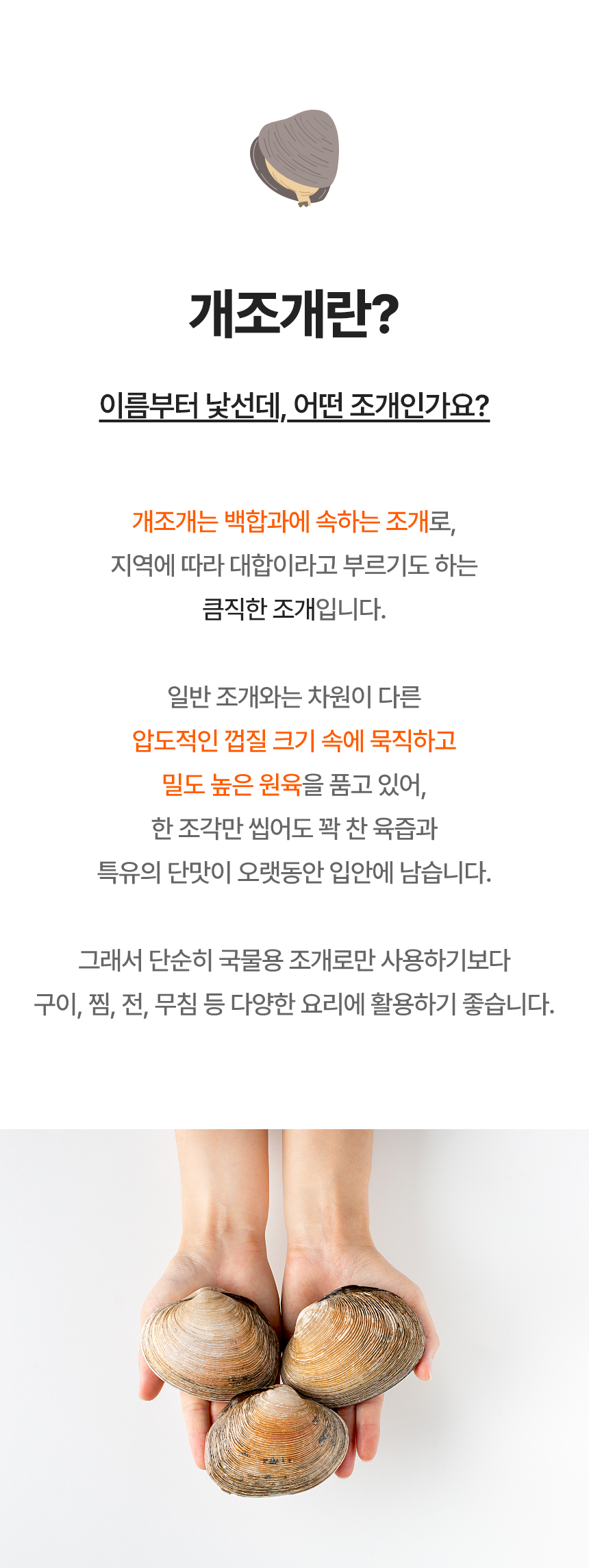 생물 대합 자연산 개조개 1kg