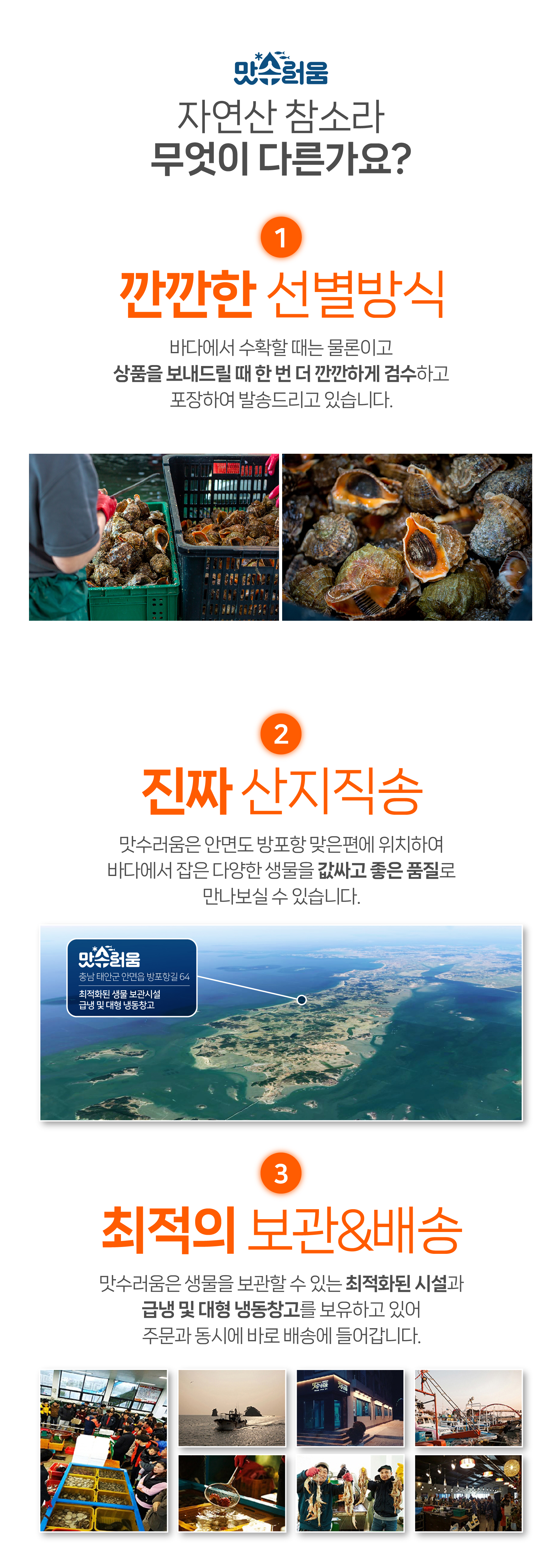 안면도 자연산 참소라 1kg