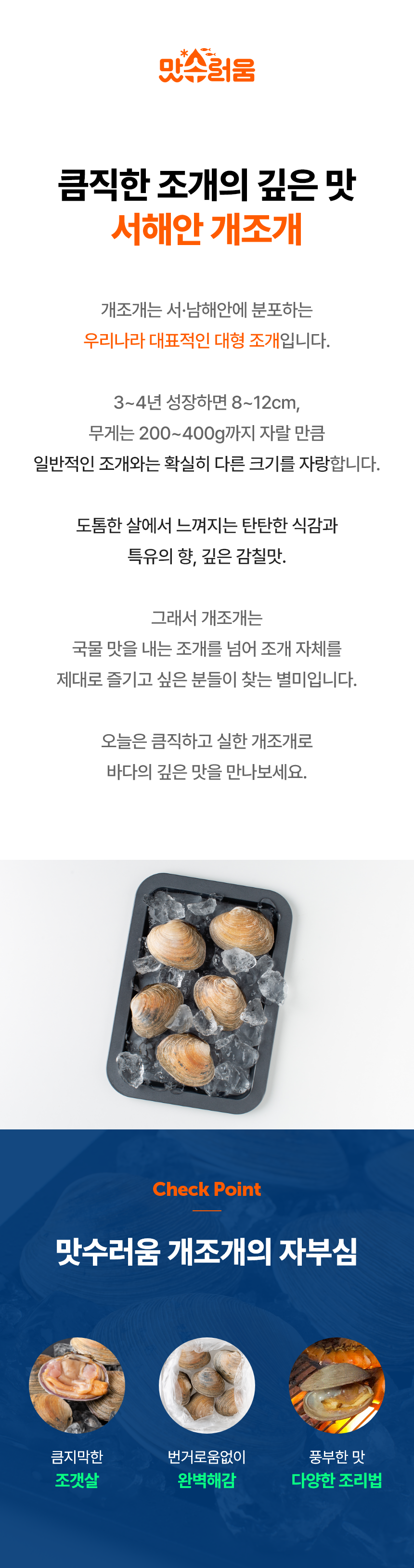 생물 대합 자연산 개조개 1kg