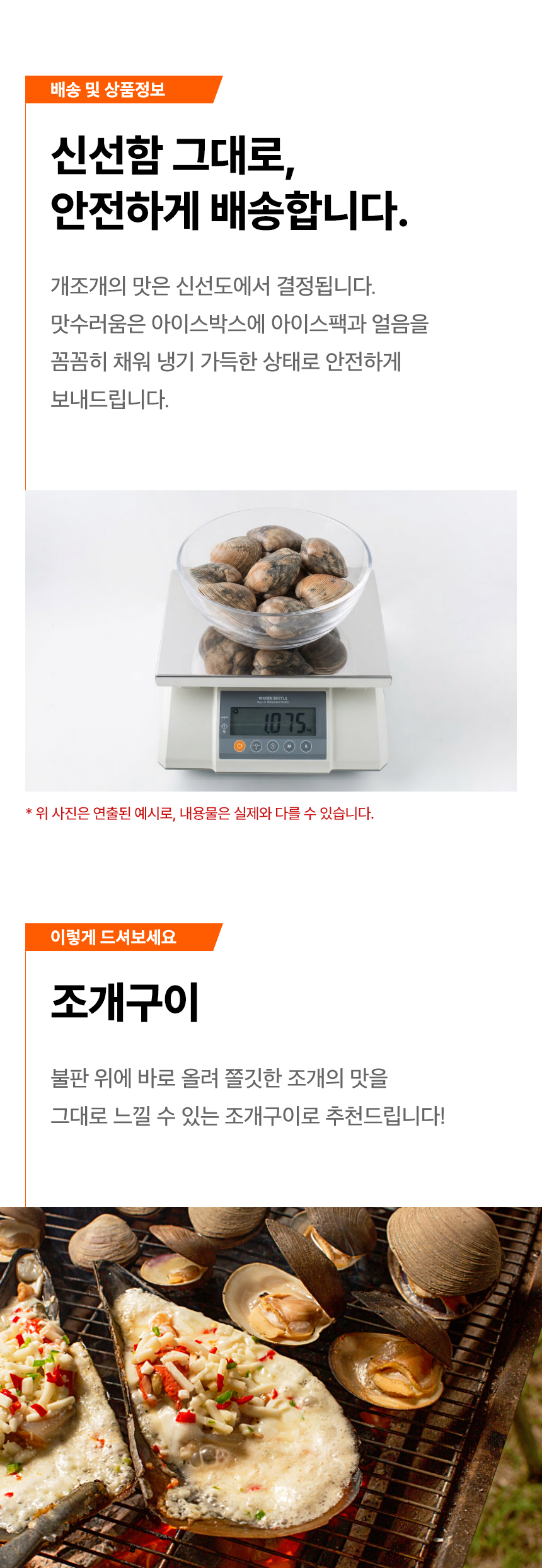 생물 대합 자연산 개조개 1kg
