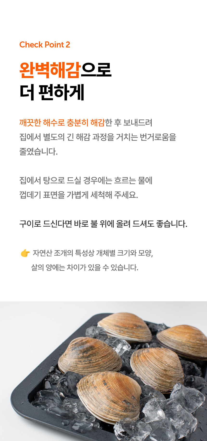 생물 대합 자연산 개조개 1kg