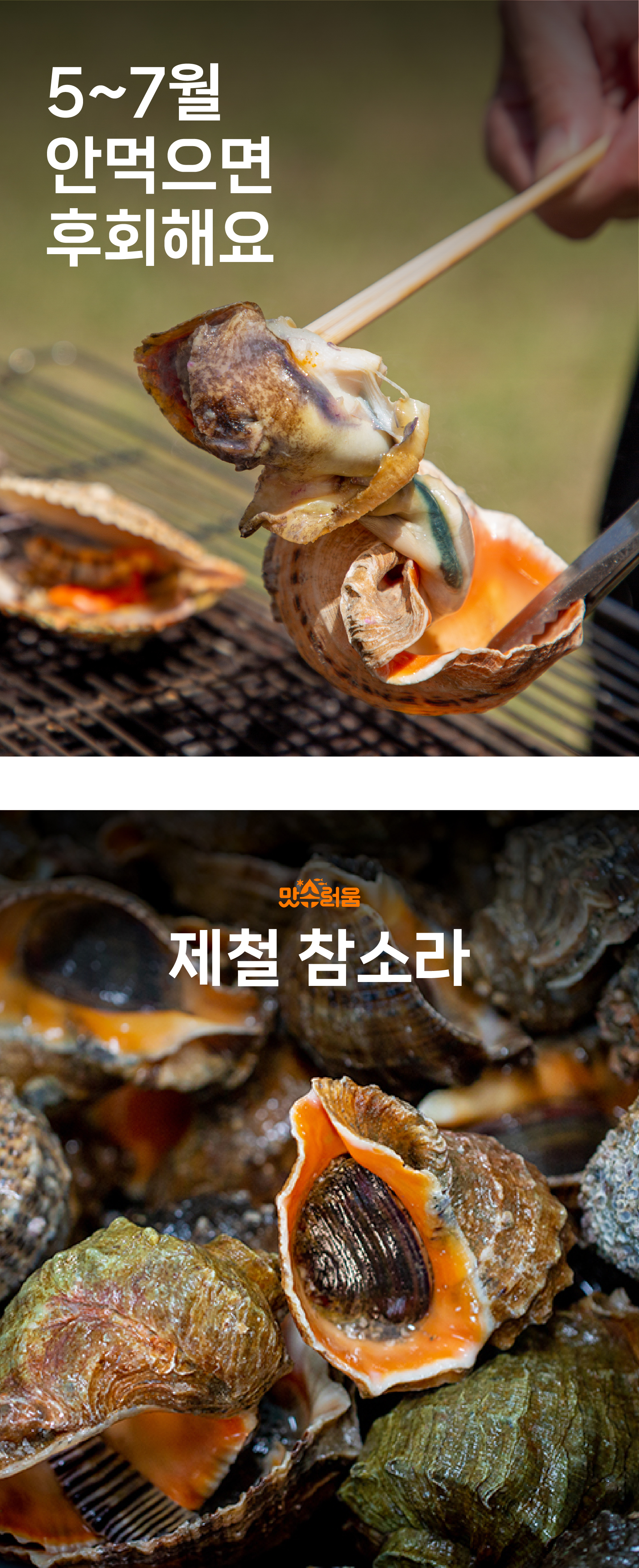 안면도 자연산 참소라 1kg