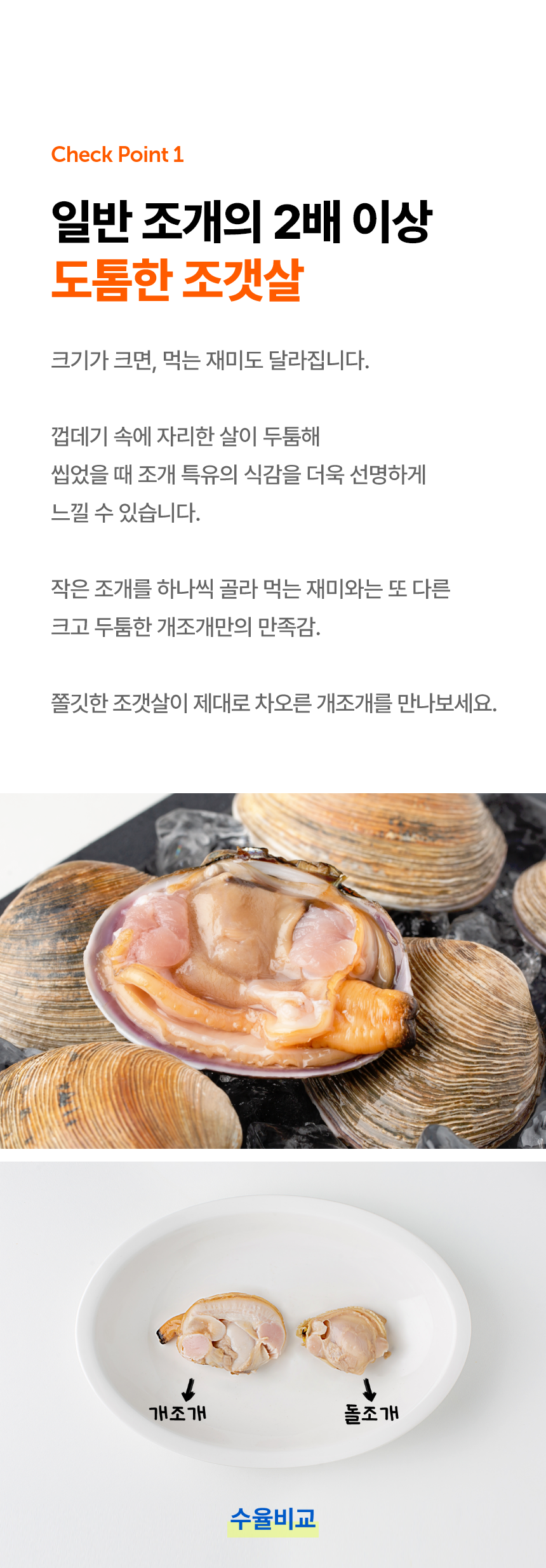 생물 대합 자연산 개조개 1kg