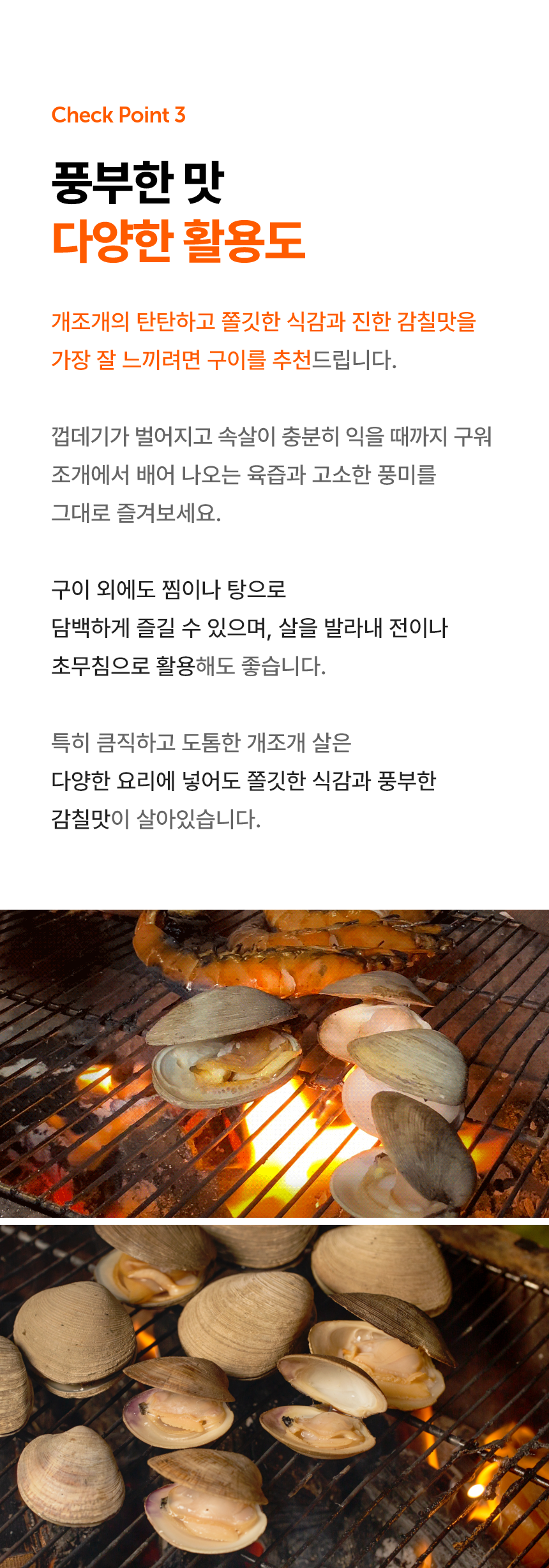 생물 대합 자연산 개조개 1kg