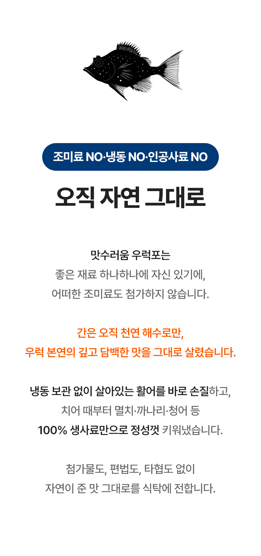 태안 안면도 우럭포 1마리 반건조 우럭