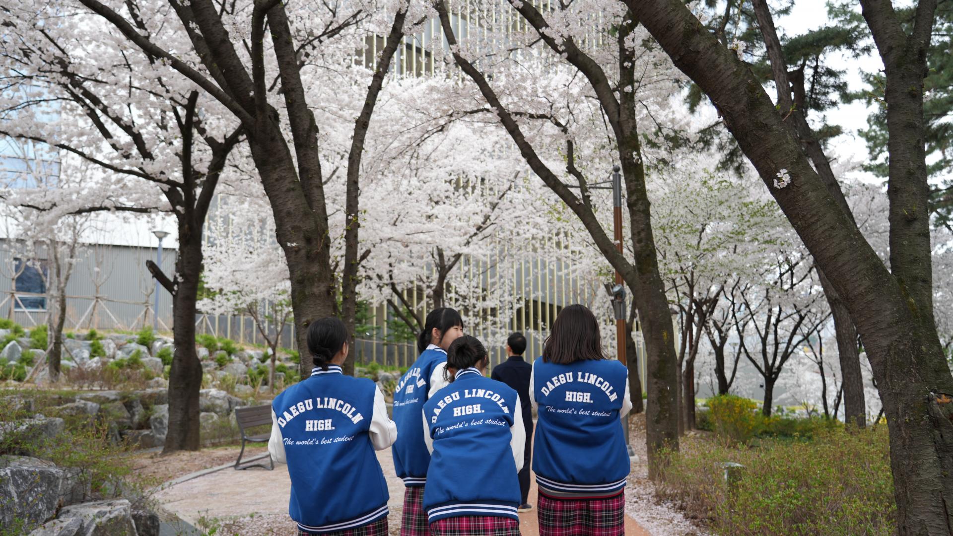 d8a972251d3a0.jpg