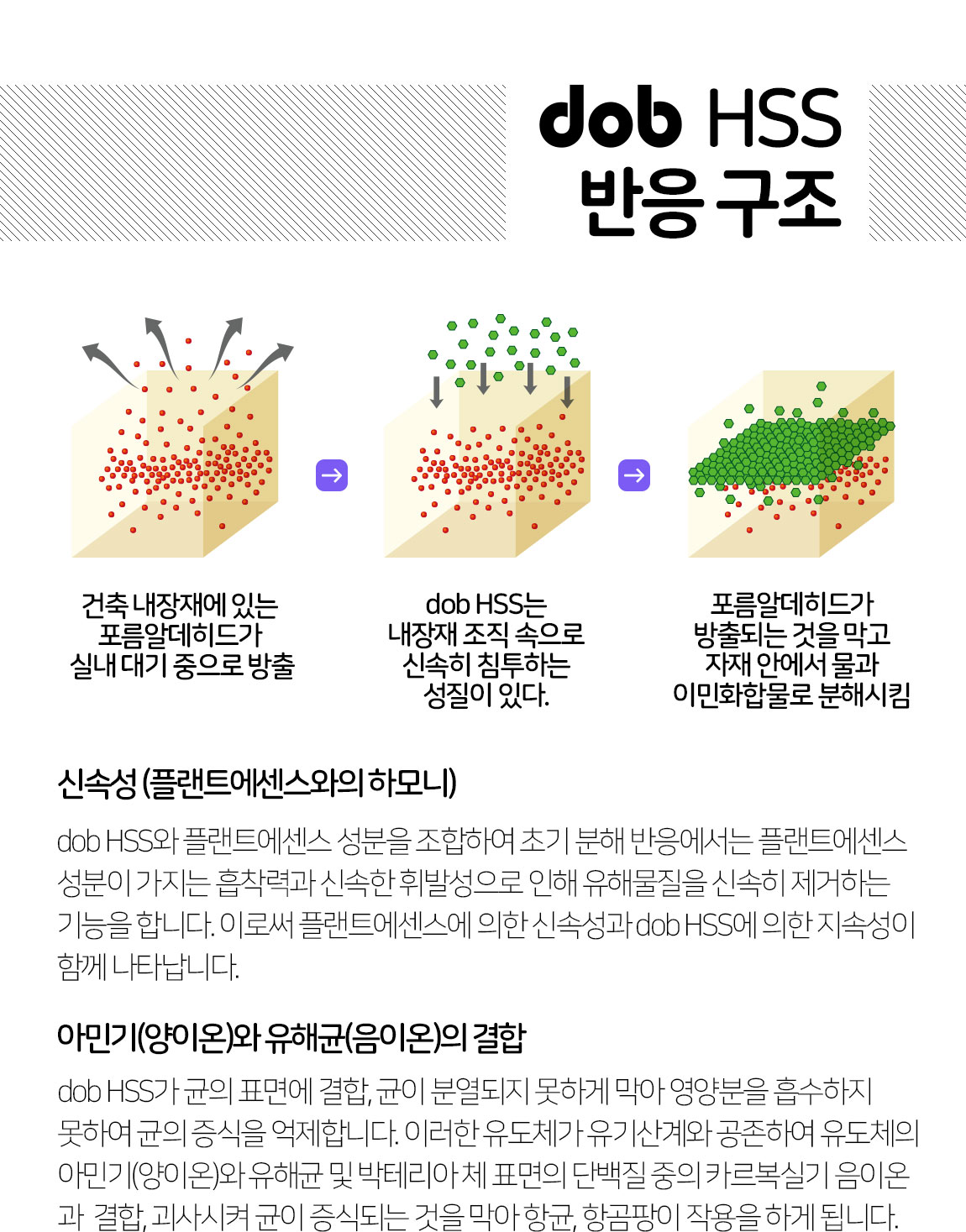 496be59c25a95.jpg