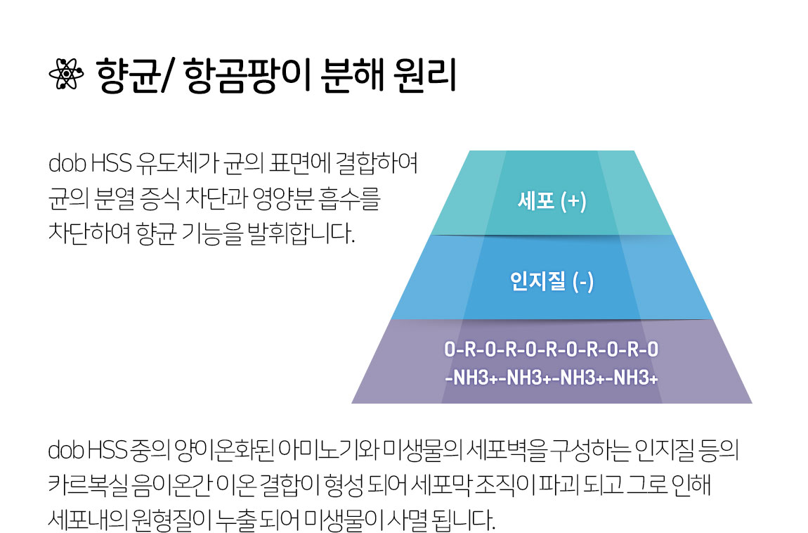 7265d15db3d65.jpg