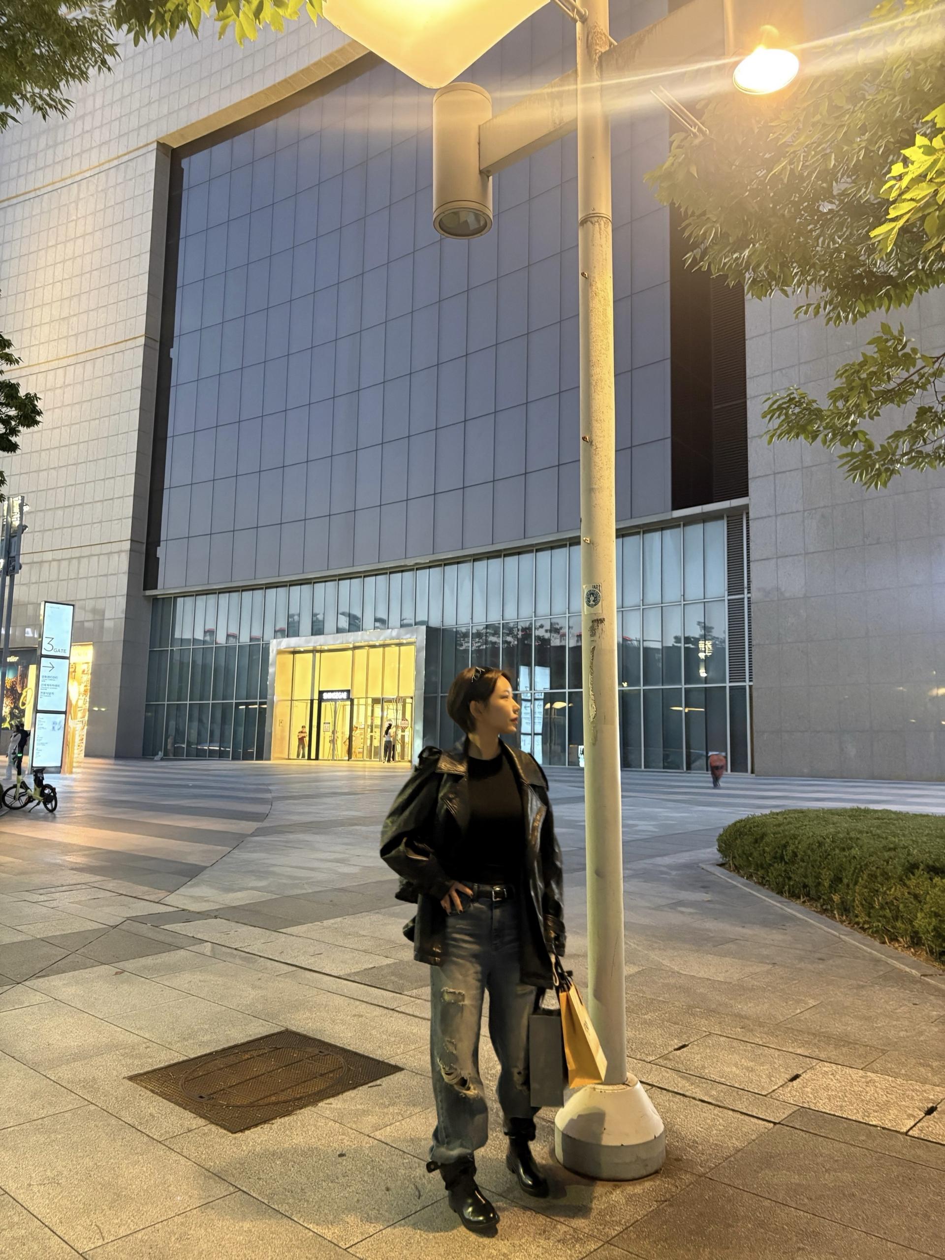 디스트로이드데님