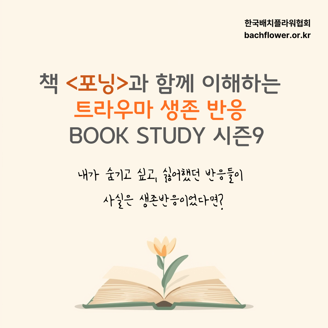 49b9000ff796e.png