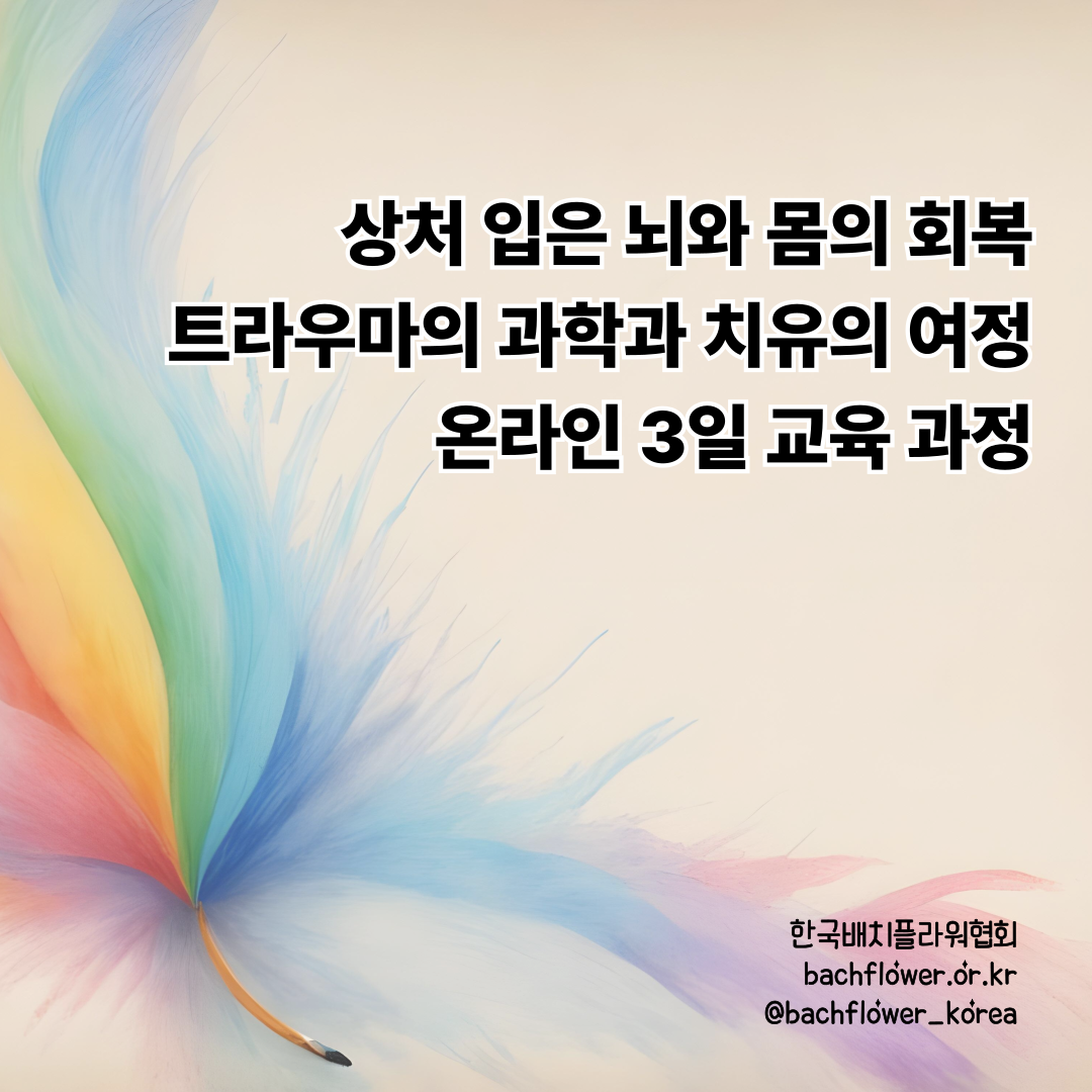 86ab3b015ebeb.png