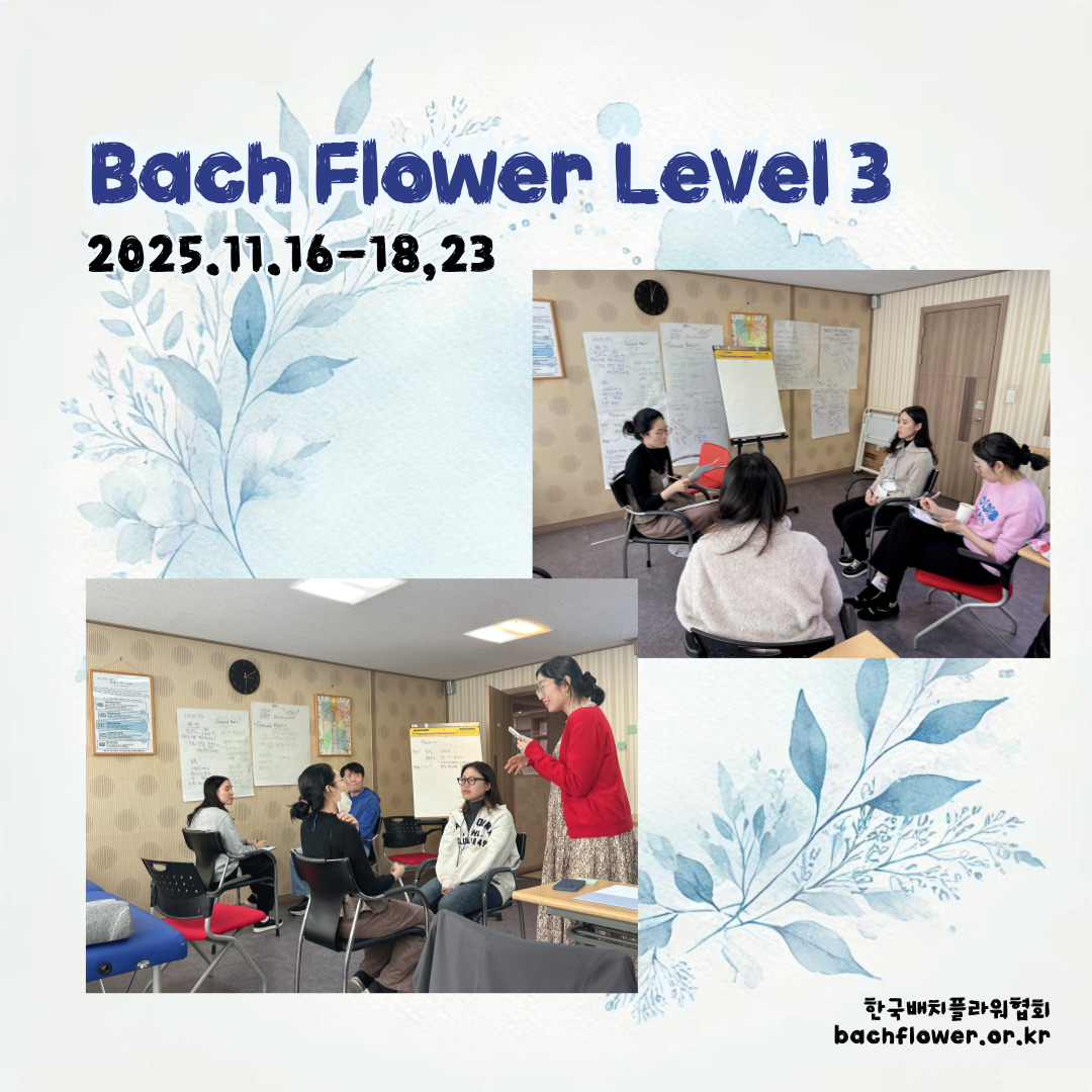 a873bbc407869.jpg