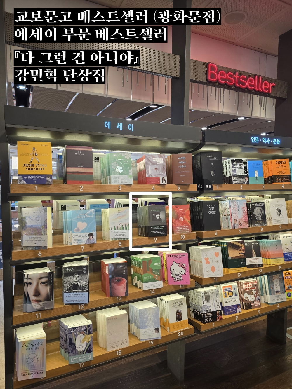66f1bd64bca0e.jpg