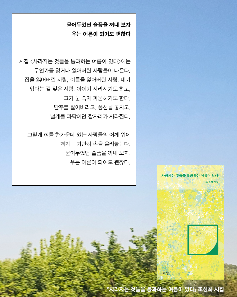 c9bc7a694033c.png