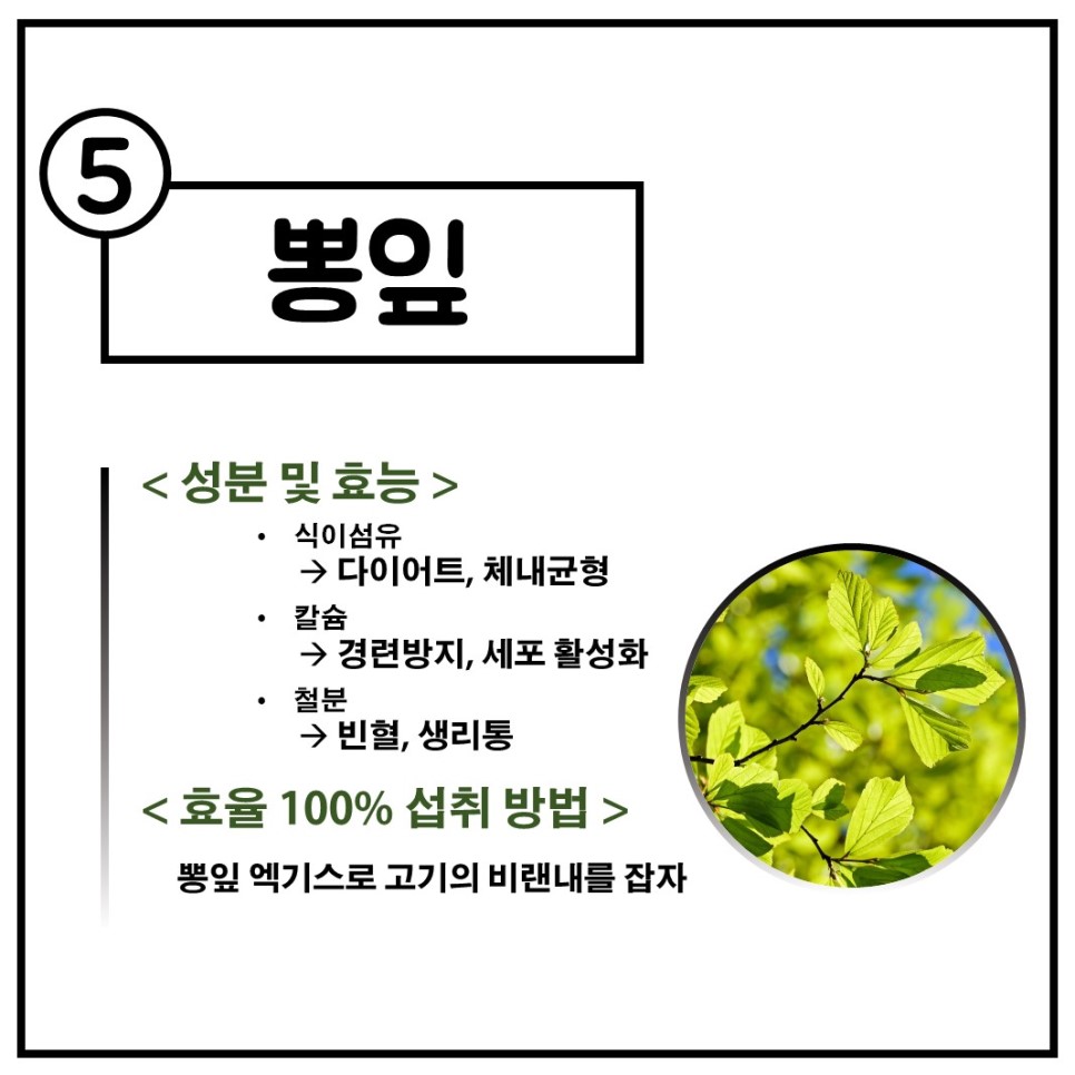 5c061a84bd363.jpg
