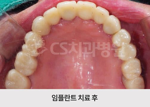04f1bf231c528.jpg