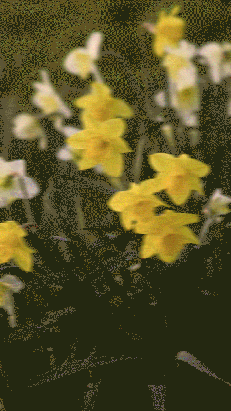 b000a416a379f.gif