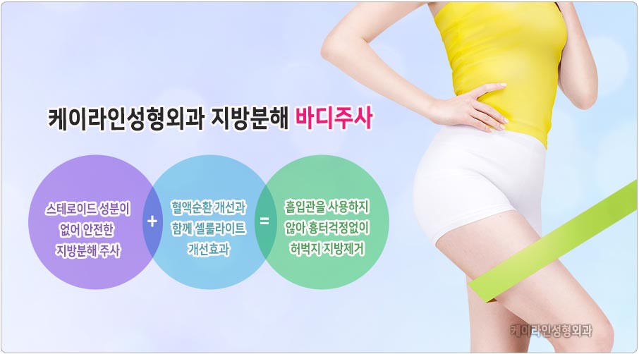 지방분해 바디주사