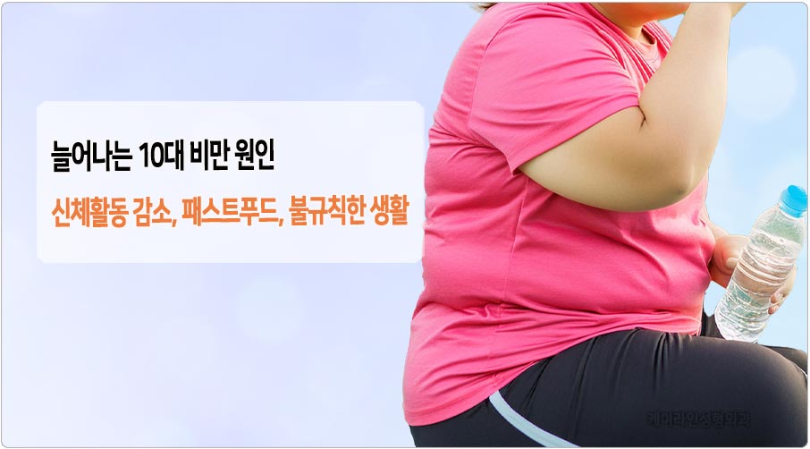 10대 비만 원인