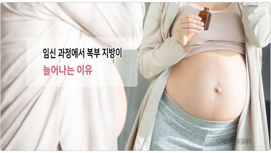 임신후 지방축적 원인