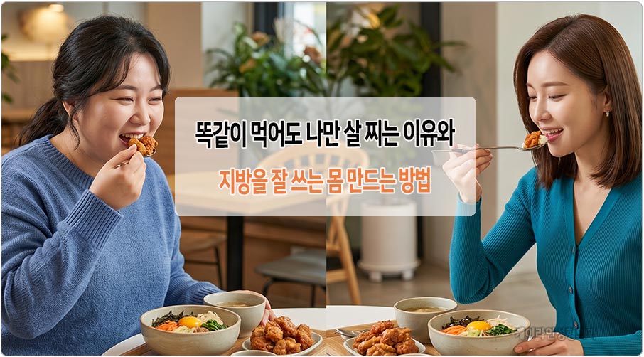 나만 살찌는 이유