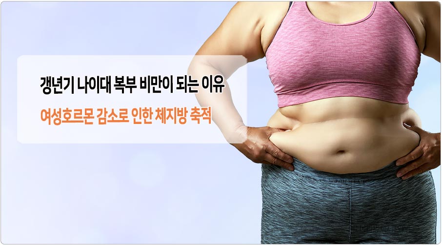 갱낸겨 복부비만 원인