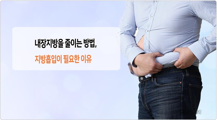 내장지방 줄이는 지방흡입
