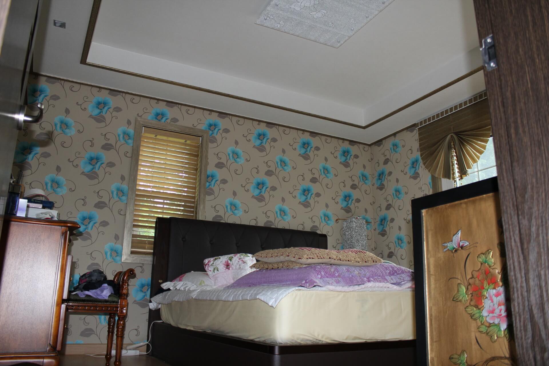 ae2408e18eed9.jpg