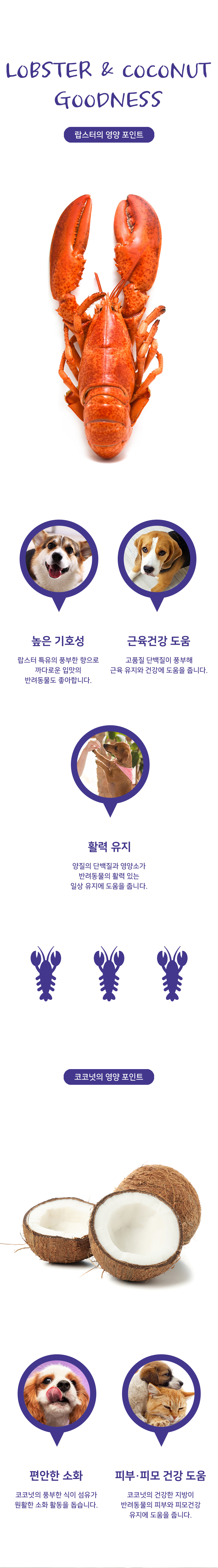 [셰퍼드보이팜즈] 동결건조 랍스터&코코넛