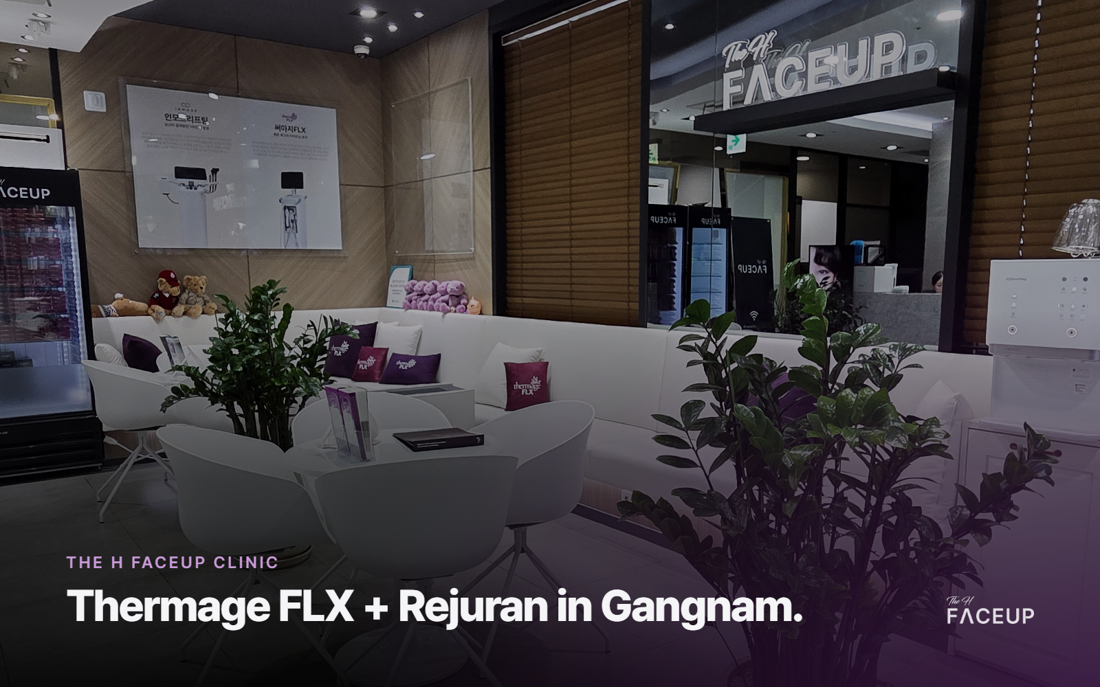The H Faceup Clinic lounge – Thermage FLX and Rejuran clinic in Gangnam, Seoul