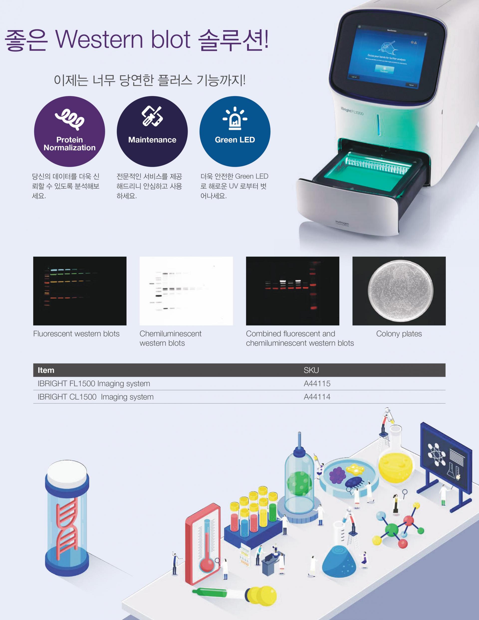 [Thermo] iBright 패키지 프로모션_SPRING [22.04.01 22.05.30] 행사정보