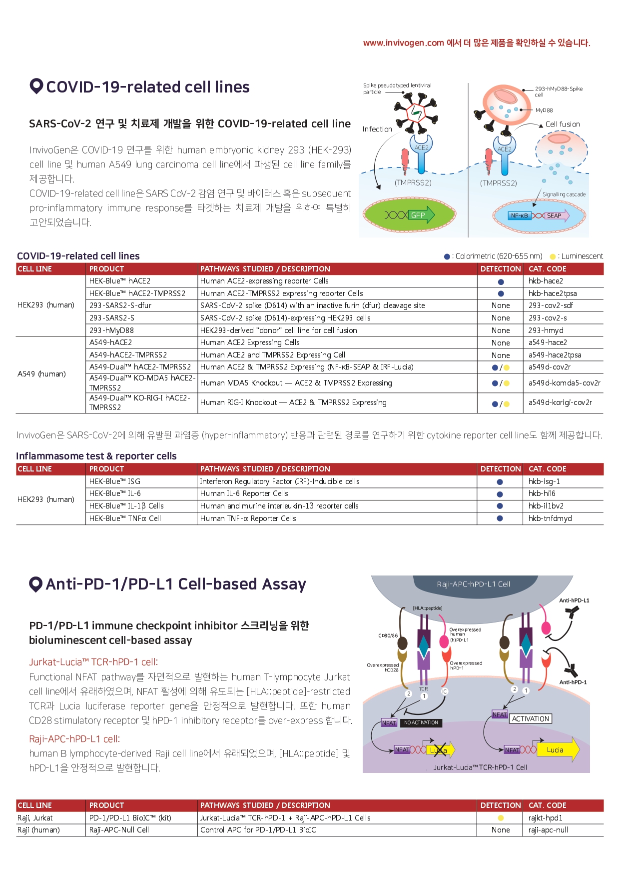 [InvivoGen] Cell line 15% 할인행사 [22.04.18~22.06.30] : 제품정보