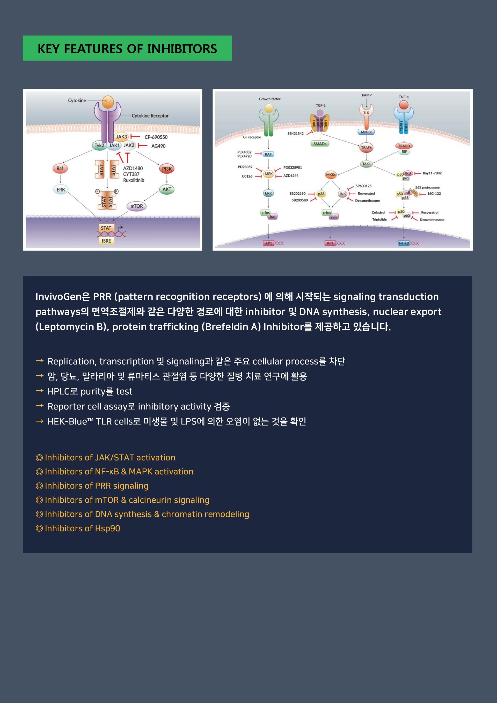 [Invivogen] Ligand, Inhibitor, Vaccine Adjuvant 15% 할인행사 [2020.10.12 ...