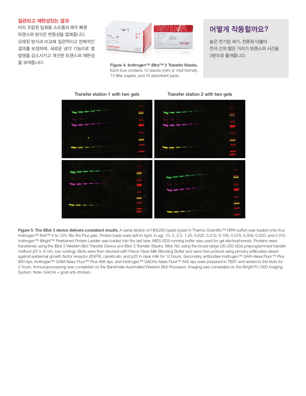 [Thermo] iBlot3 런칭 프로모션 [23.02.16~23.06.30] : 행사정보