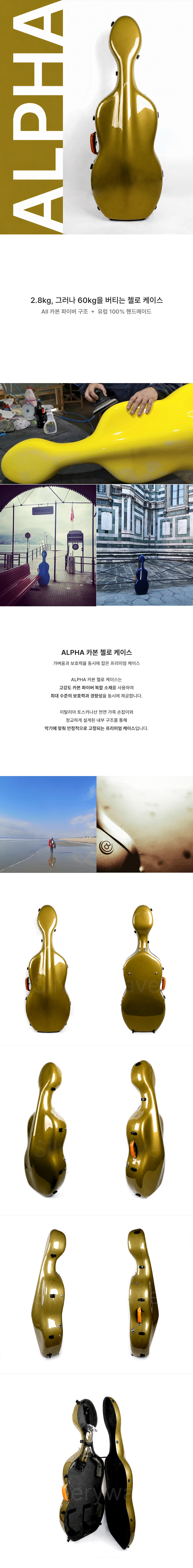 알파 첼로 카본 케이스 부드럽게 닫히는 유럽 경량 핸드메이드 스코다 골드키위