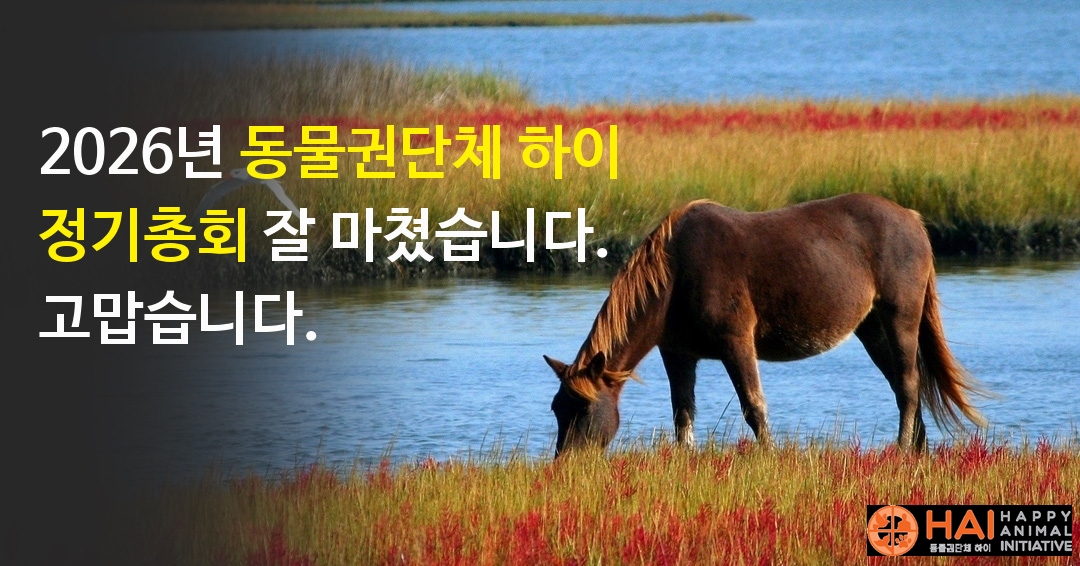 0942575c4de70.jpg
