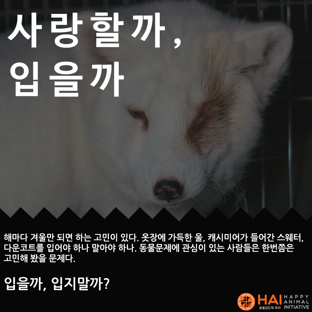 5c52419db6c31.png