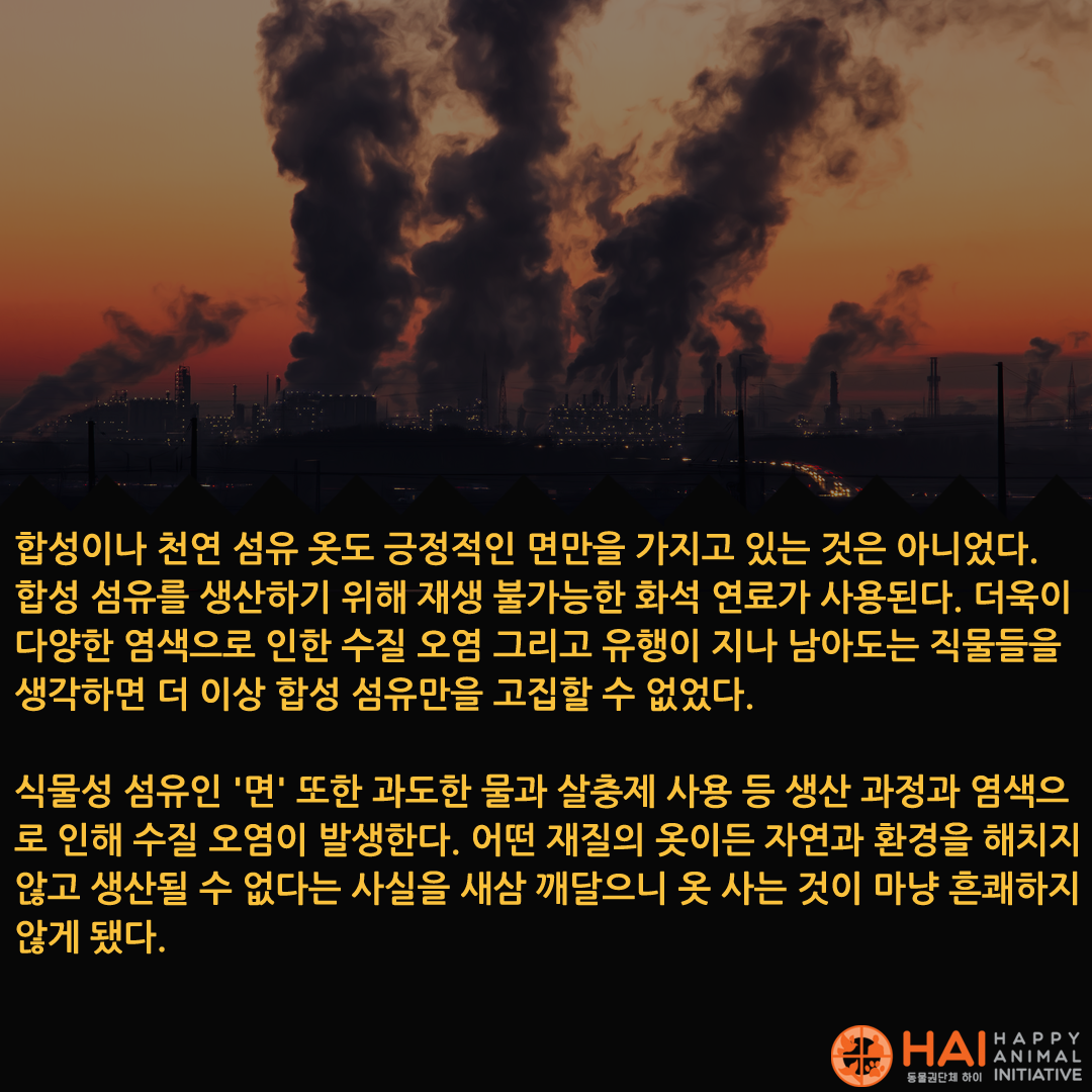 5c5241bf53194.png
