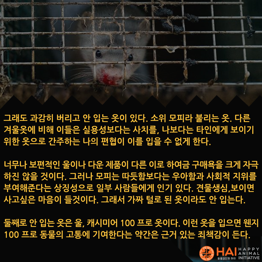 5c524225ef2d2.png