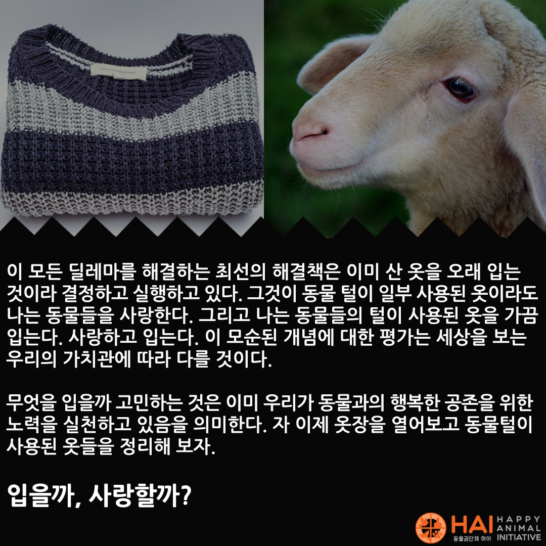 5c5242eb65c26.png