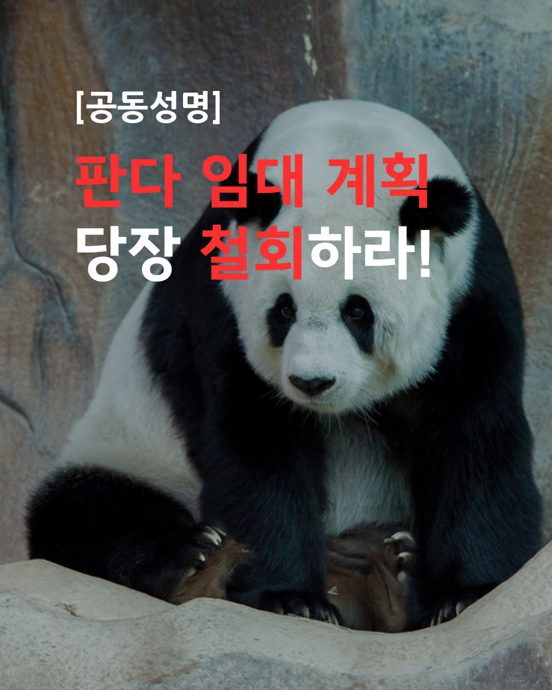 b93e4797c444f.png