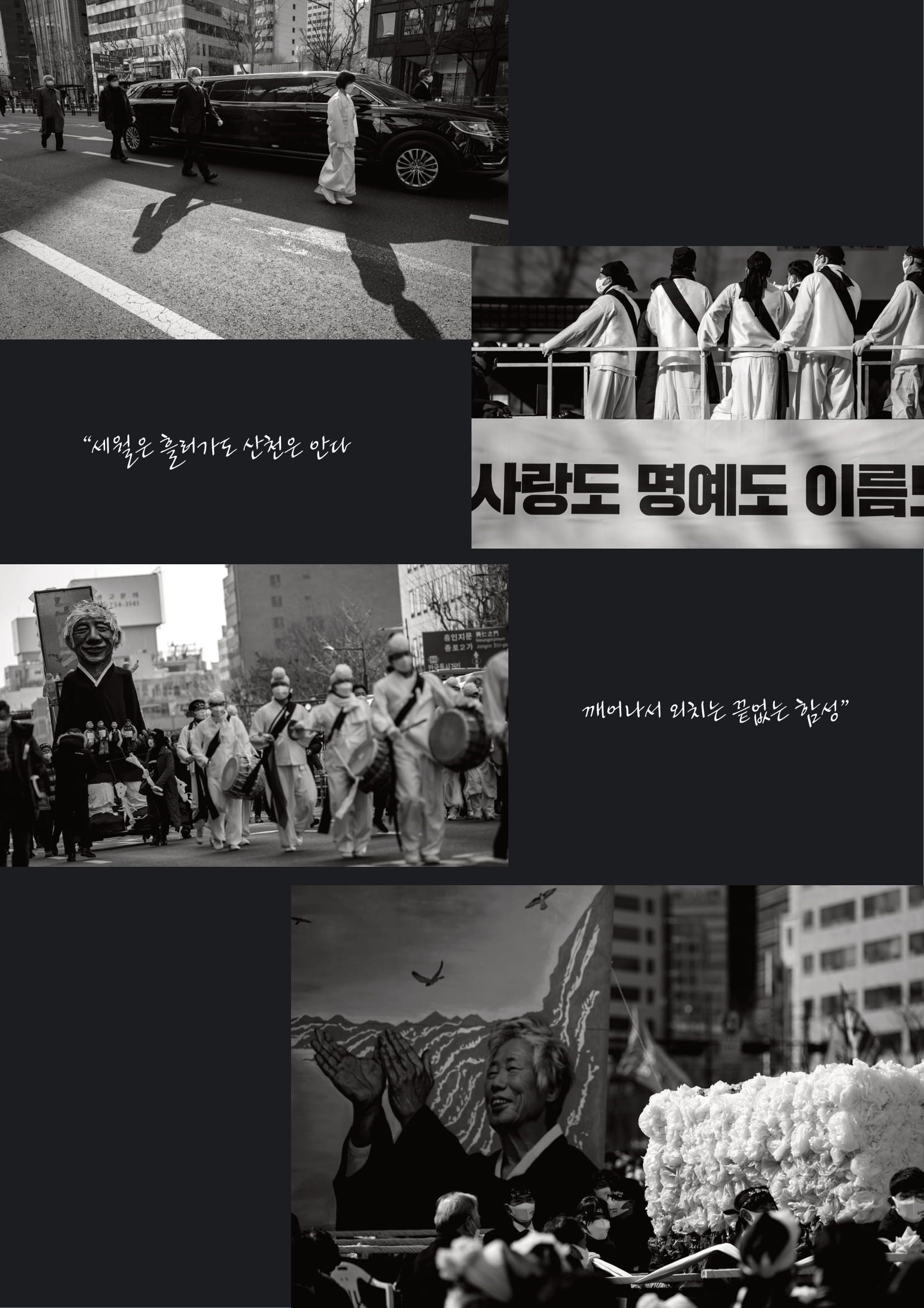 0b3a8e4ded9d9.jpg