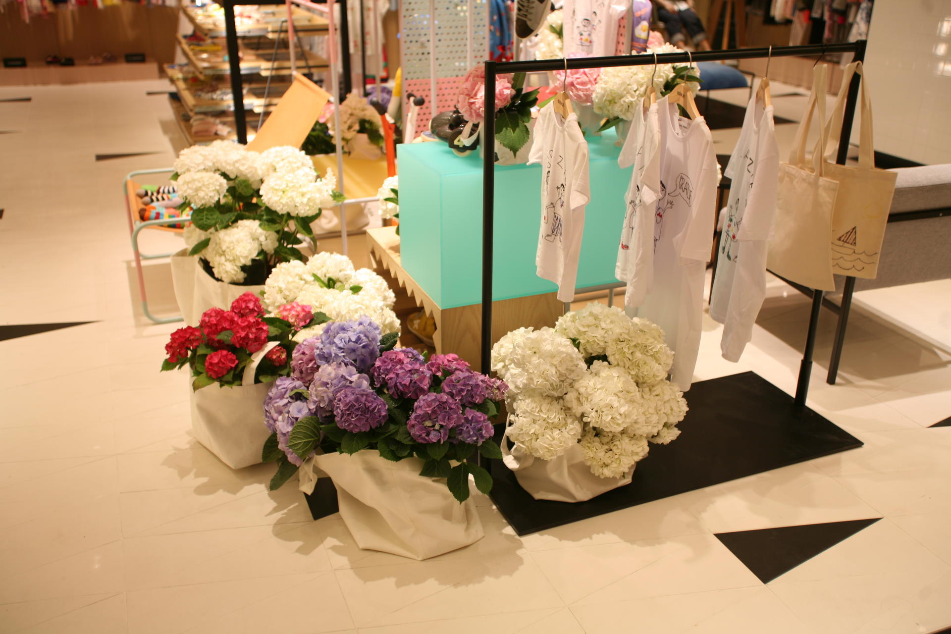 5bb6e6b6884d6.jpg