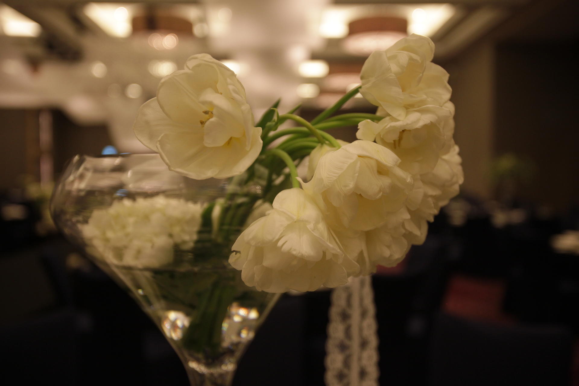 5c50046f87586.jpg