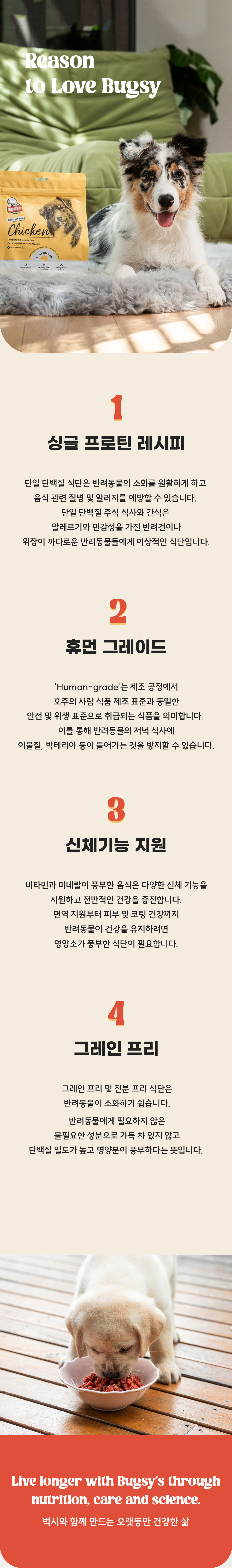 벅시 에어드라이드 닭고기 전연령 사료 1.1kg