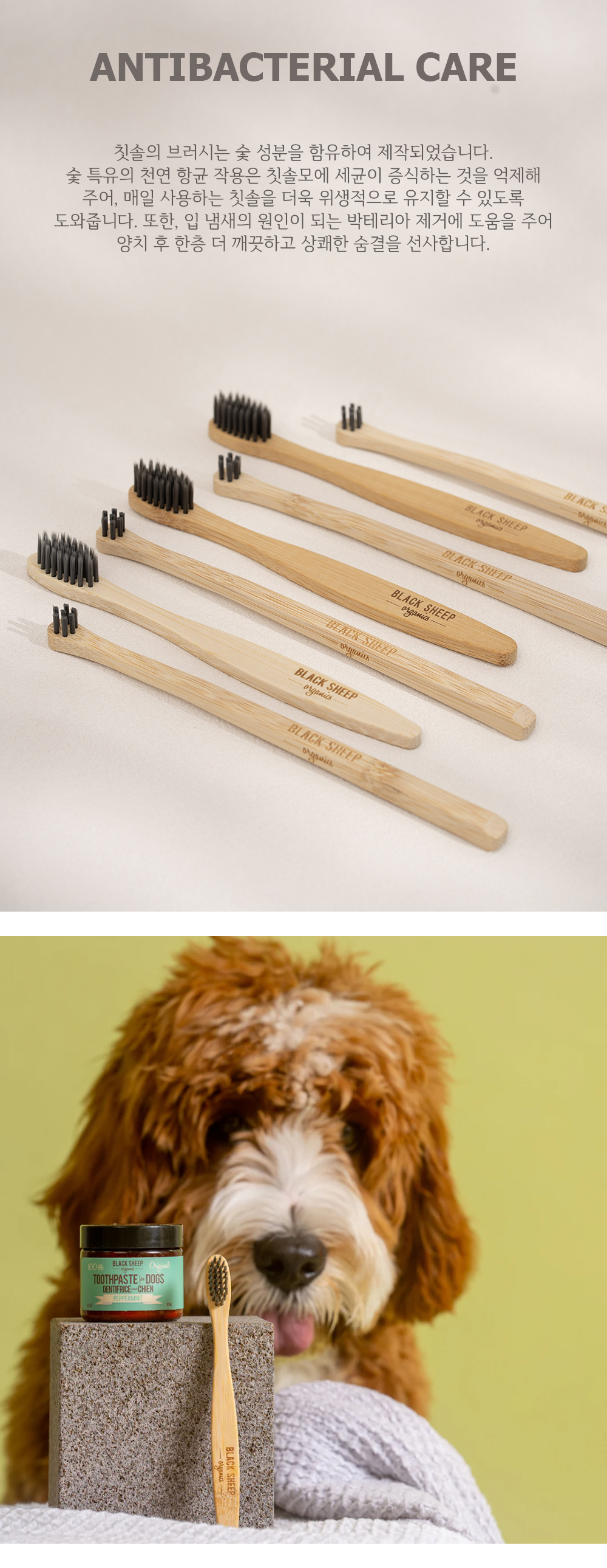 블랙쉽 오가닉스 반려견용 대나무 숯 칫솔 S