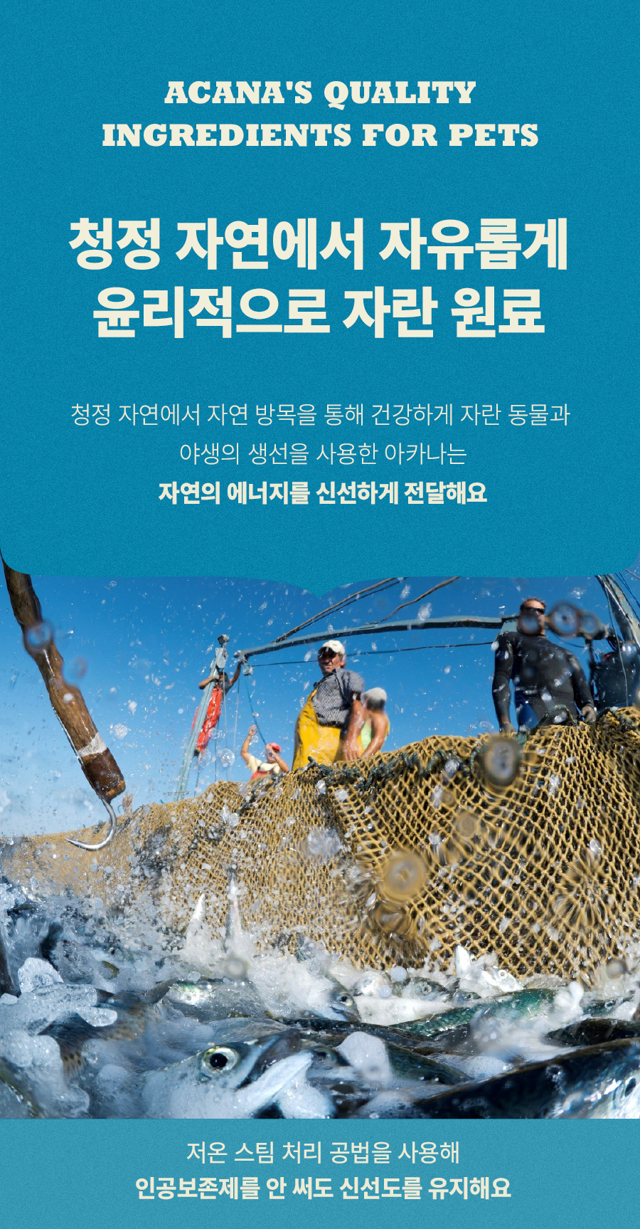 [1+1] 아카나 패시피카 캣 1.8kg