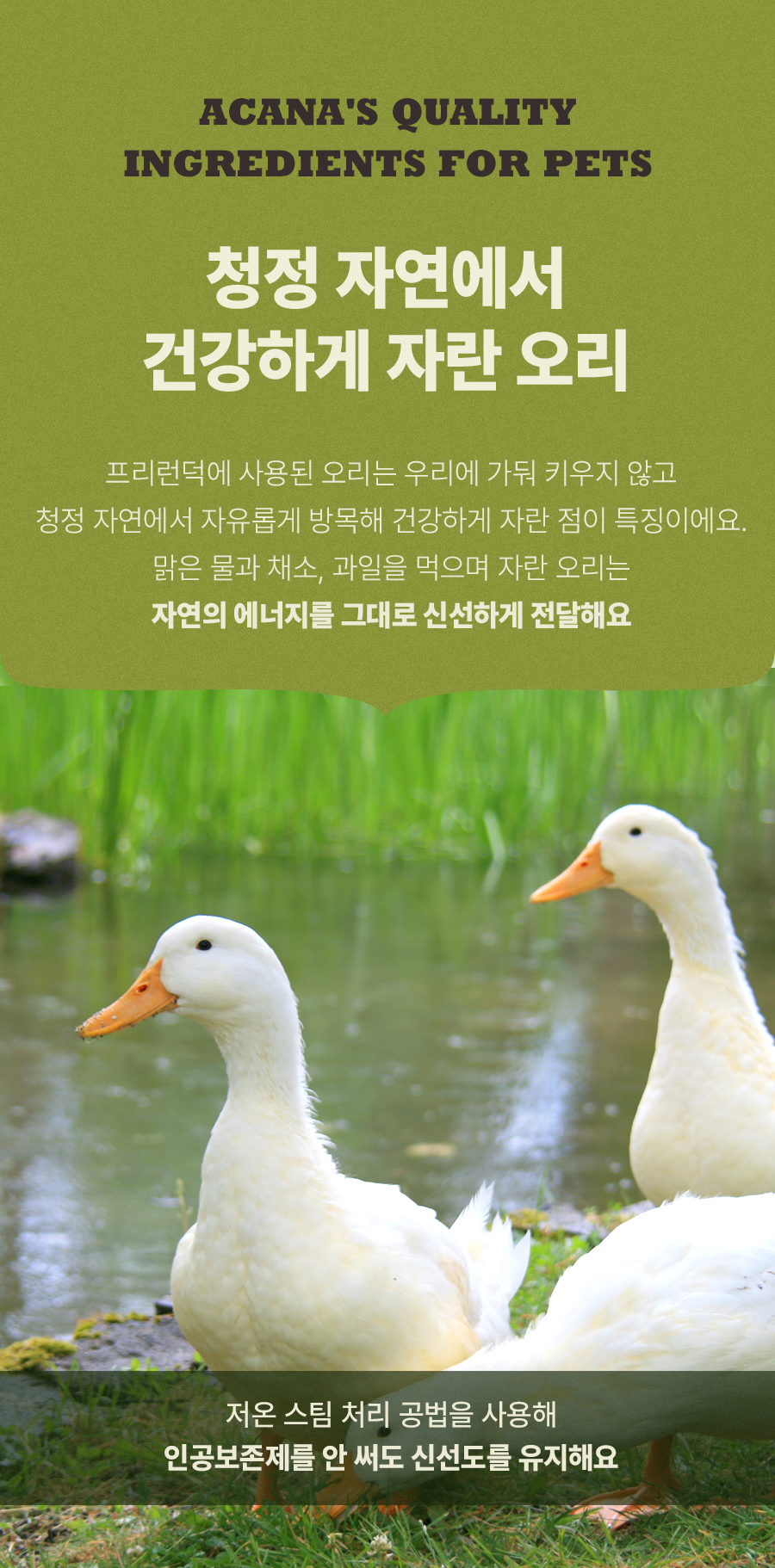 아카나 프리런 덕 11.4kg