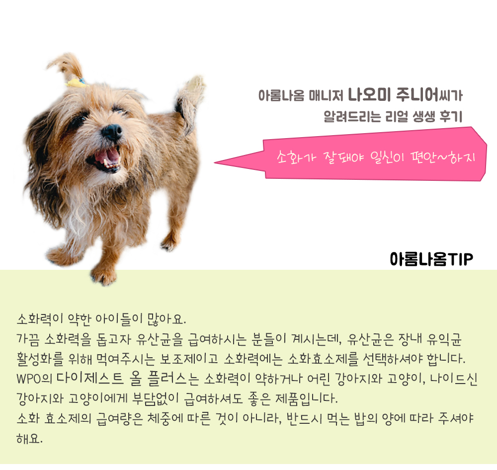 WPO 다이제스트 올 플러스 113g